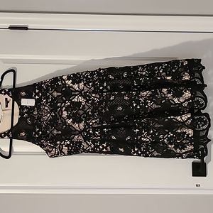 RW & Co black and tan dress, never worn, size 14 with tags